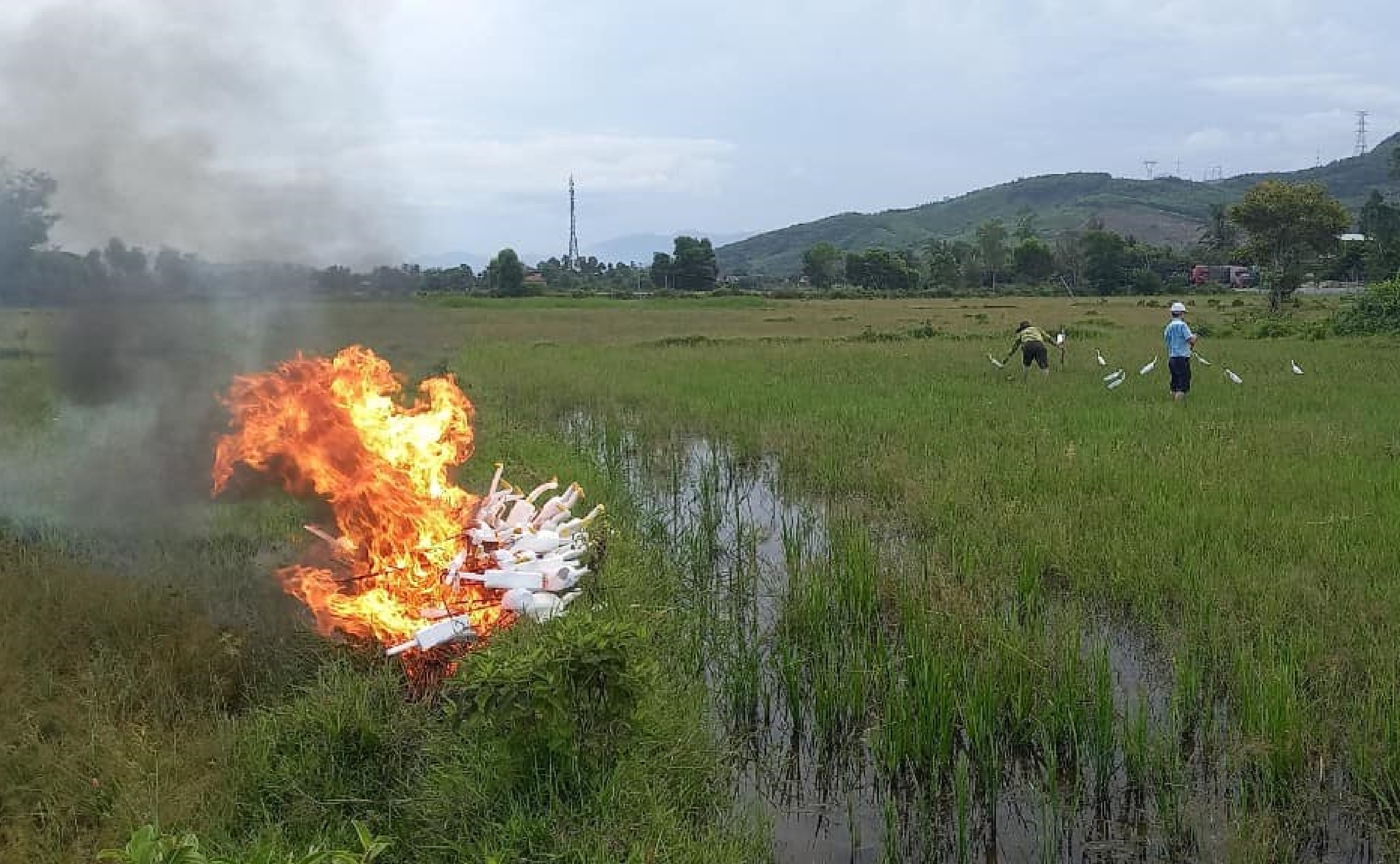 Kiểm lâm Thừa Thiên Huế phá gỡ hàng ngàn bẫy chim trời